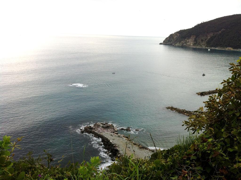 Maggiore Hotel 3*
